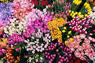 《怪物猎人：崛起》联动《街头霸王》 8月27日正式发布